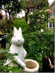 ハーブがたくさん生える中に白色のウサギの置物がある庭の写真